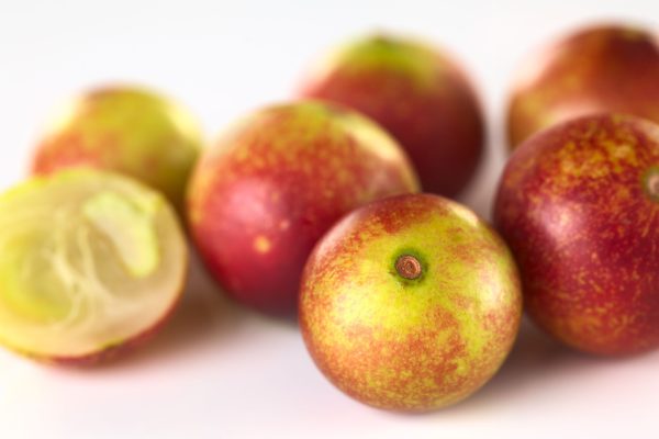 PULPA DE CAMU CAMU X 250 GR - Imagen 2
